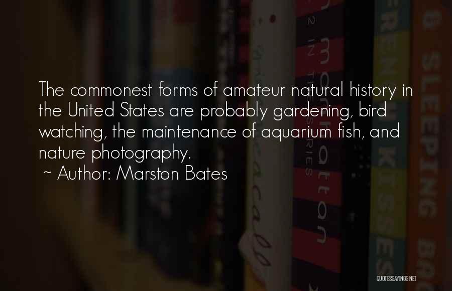 Marston Bates Quotes: The Commonest Forms Of Amateur Natural History In The United States Are Probably Gardening, Bird Watching, The Maintenance Of Aquarium