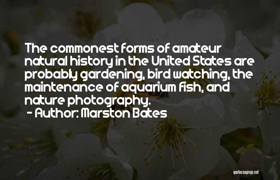 Marston Bates Quotes: The Commonest Forms Of Amateur Natural History In The United States Are Probably Gardening, Bird Watching, The Maintenance Of Aquarium