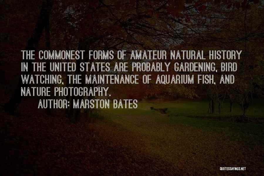 Marston Bates Quotes: The Commonest Forms Of Amateur Natural History In The United States Are Probably Gardening, Bird Watching, The Maintenance Of Aquarium