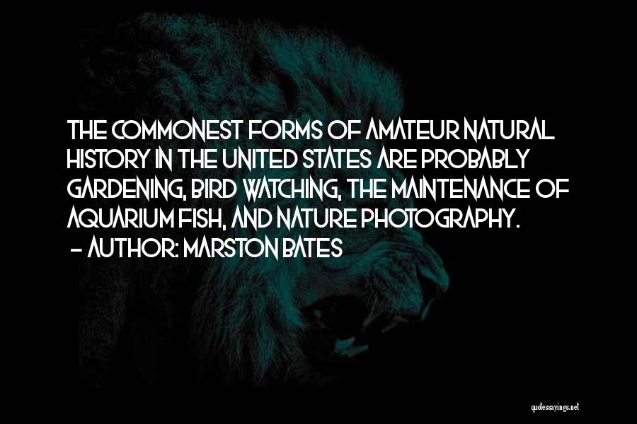 Marston Bates Quotes: The Commonest Forms Of Amateur Natural History In The United States Are Probably Gardening, Bird Watching, The Maintenance Of Aquarium