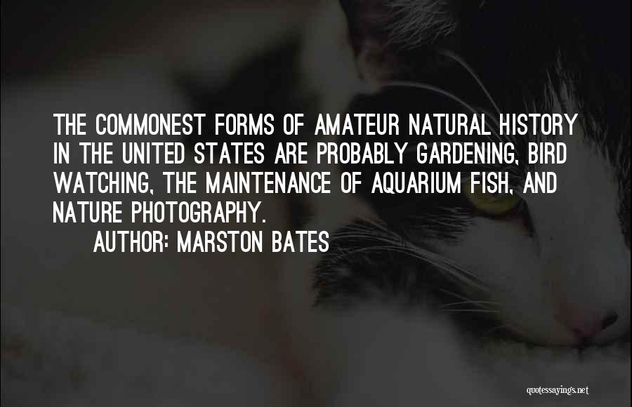 Marston Bates Quotes: The Commonest Forms Of Amateur Natural History In The United States Are Probably Gardening, Bird Watching, The Maintenance Of Aquarium