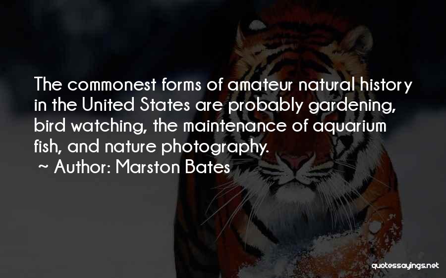 Marston Bates Quotes: The Commonest Forms Of Amateur Natural History In The United States Are Probably Gardening, Bird Watching, The Maintenance Of Aquarium