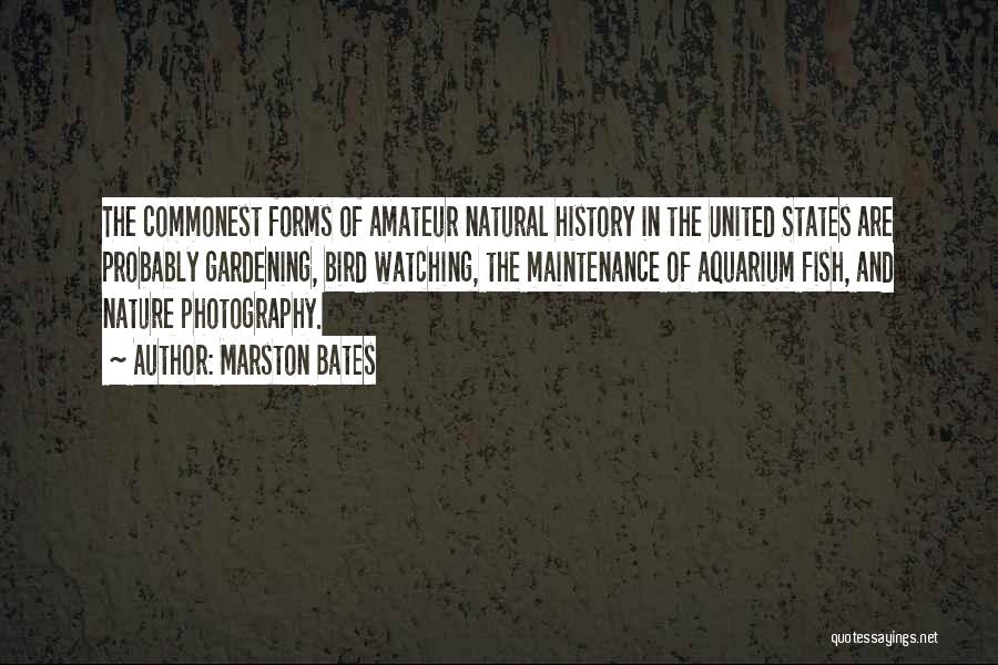 Marston Bates Quotes: The Commonest Forms Of Amateur Natural History In The United States Are Probably Gardening, Bird Watching, The Maintenance Of Aquarium