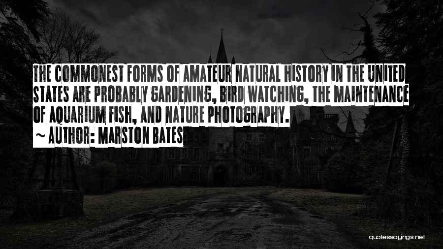 Marston Bates Quotes: The Commonest Forms Of Amateur Natural History In The United States Are Probably Gardening, Bird Watching, The Maintenance Of Aquarium