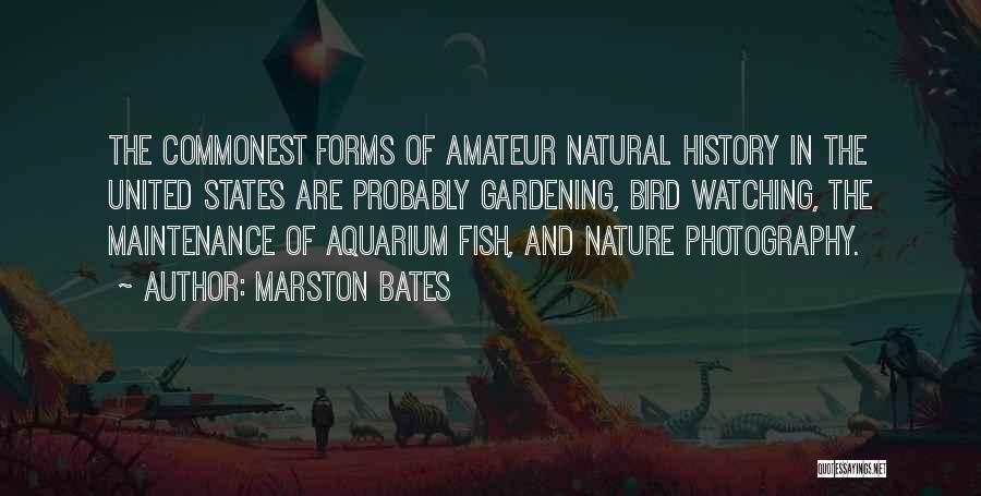 Marston Bates Quotes: The Commonest Forms Of Amateur Natural History In The United States Are Probably Gardening, Bird Watching, The Maintenance Of Aquarium