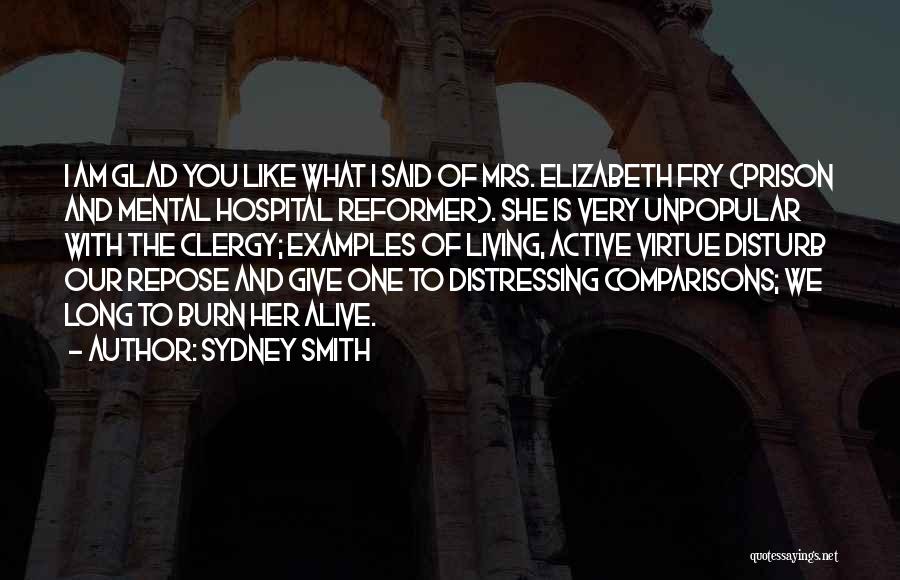 Sydney Smith Quotes: I Am Glad You Like What I Said Of Mrs. Elizabeth Fry (prison And Mental Hospital Reformer). She Is Very