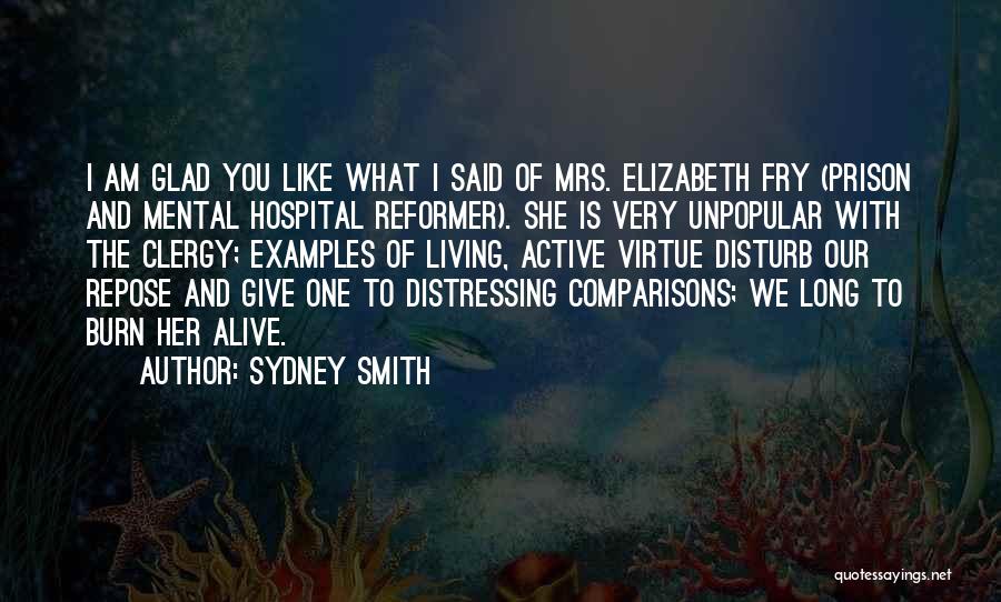 Sydney Smith Quotes: I Am Glad You Like What I Said Of Mrs. Elizabeth Fry (prison And Mental Hospital Reformer). She Is Very