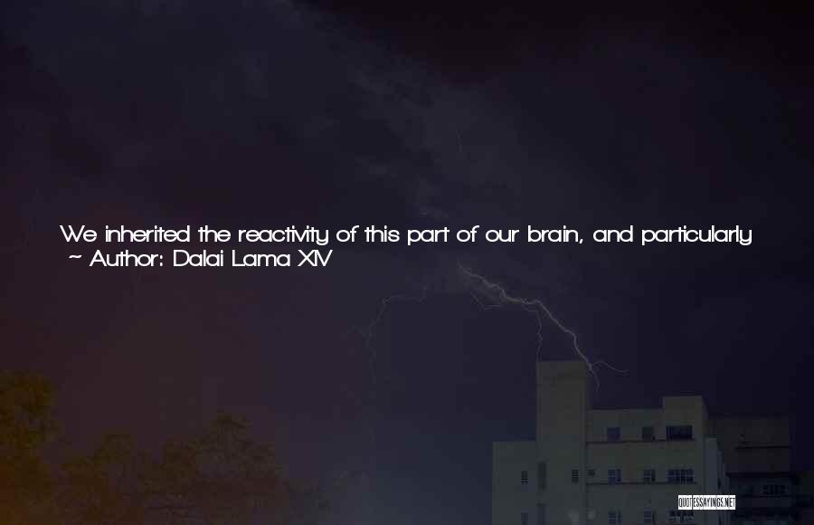 Dalai Lama XIV Quotes: We Inherited The Reactivity Of This Part Of Our Brain, And Particularly The Sensitive Amygdala, From Our Skittish Fight-or-flight Ancestors.