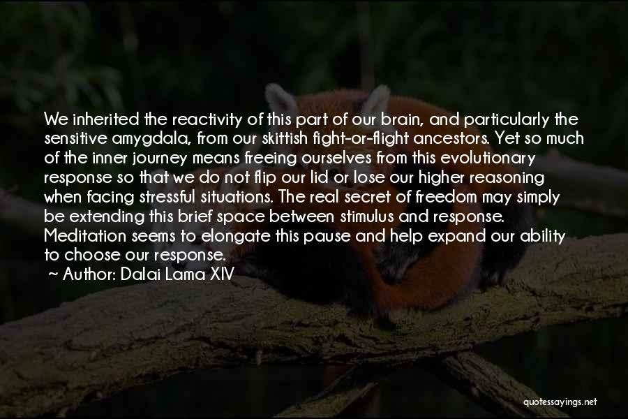 Dalai Lama XIV Quotes: We Inherited The Reactivity Of This Part Of Our Brain, And Particularly The Sensitive Amygdala, From Our Skittish Fight-or-flight Ancestors.