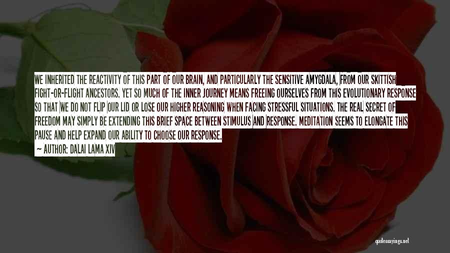 Dalai Lama XIV Quotes: We Inherited The Reactivity Of This Part Of Our Brain, And Particularly The Sensitive Amygdala, From Our Skittish Fight-or-flight Ancestors.