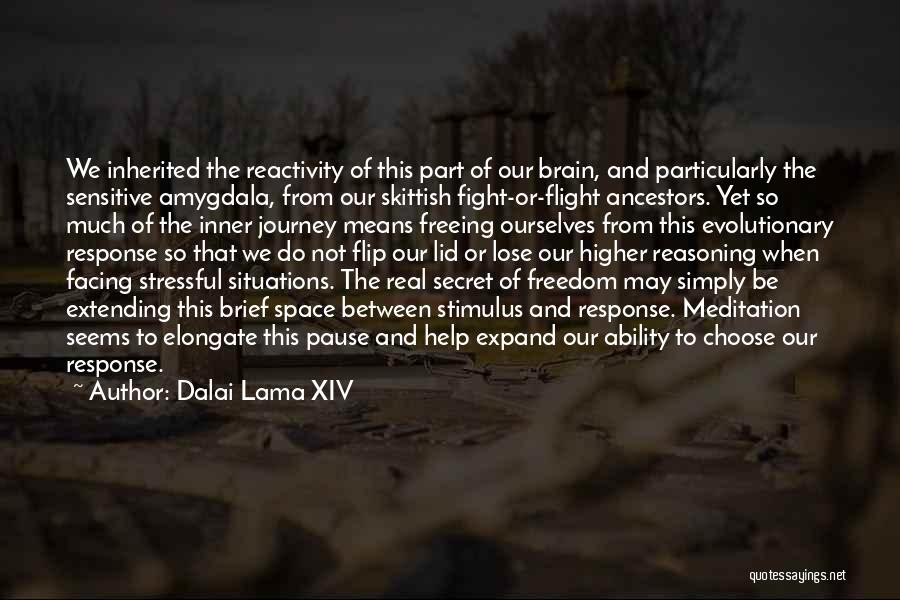 Dalai Lama XIV Quotes: We Inherited The Reactivity Of This Part Of Our Brain, And Particularly The Sensitive Amygdala, From Our Skittish Fight-or-flight Ancestors.