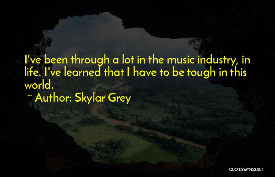 Skylar Grey Quotes: I've Been Through A Lot In The Music Industry, In Life. I've Learned That I Have To Be Tough In