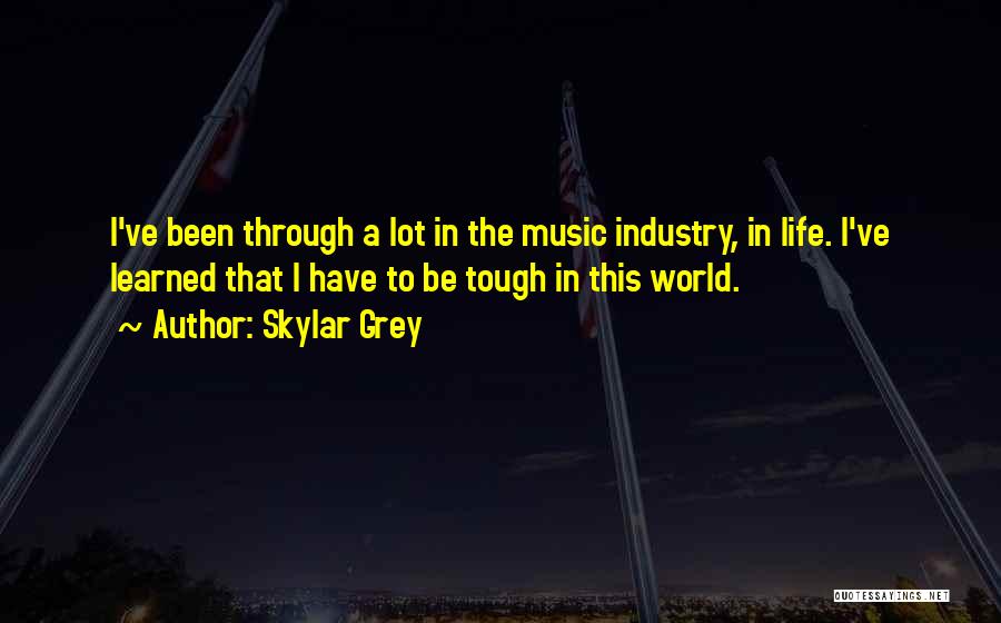 Skylar Grey Quotes: I've Been Through A Lot In The Music Industry, In Life. I've Learned That I Have To Be Tough In