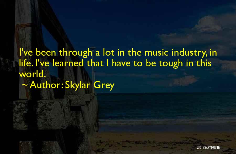 Skylar Grey Quotes: I've Been Through A Lot In The Music Industry, In Life. I've Learned That I Have To Be Tough In