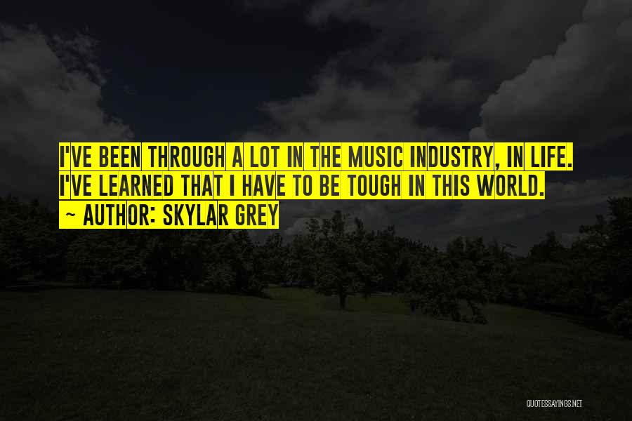 Skylar Grey Quotes: I've Been Through A Lot In The Music Industry, In Life. I've Learned That I Have To Be Tough In