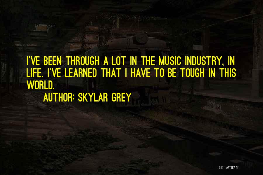 Skylar Grey Quotes: I've Been Through A Lot In The Music Industry, In Life. I've Learned That I Have To Be Tough In