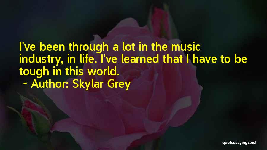 Skylar Grey Quotes: I've Been Through A Lot In The Music Industry, In Life. I've Learned That I Have To Be Tough In