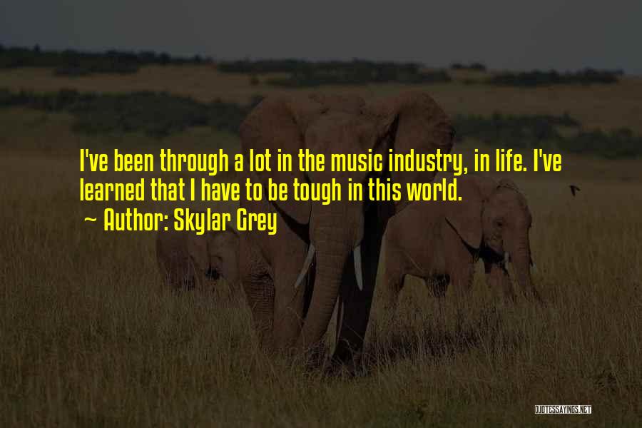 Skylar Grey Quotes: I've Been Through A Lot In The Music Industry, In Life. I've Learned That I Have To Be Tough In