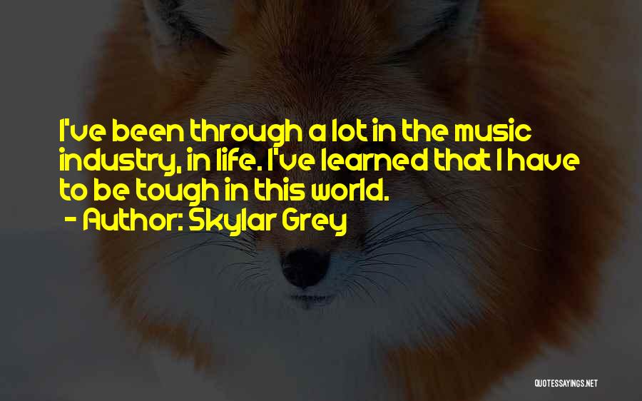 Skylar Grey Quotes: I've Been Through A Lot In The Music Industry, In Life. I've Learned That I Have To Be Tough In