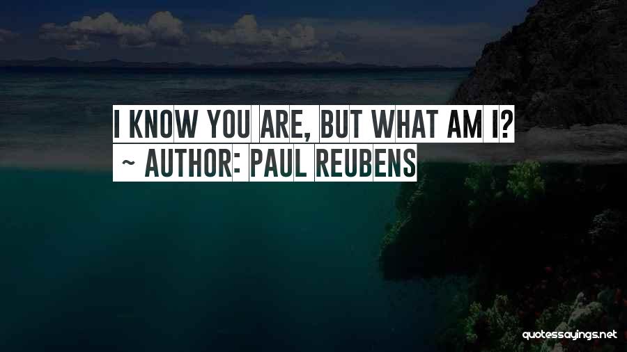 Paul Reubens Quotes: I Know You Are, But What Am I?