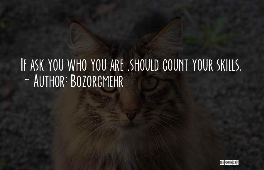 Bozorgmehr Quotes: If Ask You Who You Are ,should Count Your Skills.