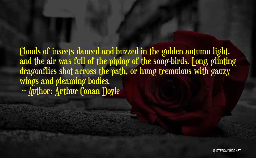 Arthur Conan Doyle Quotes: Clouds Of Insects Danced And Buzzed In The Golden Autumn Light, And The Air Was Full Of The Piping Of