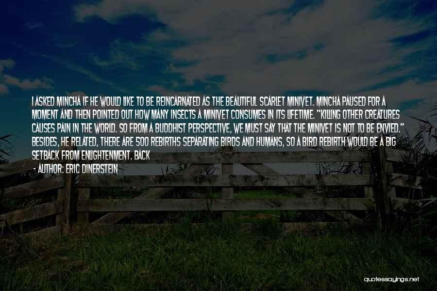 Eric Dinerstein Quotes: I Asked Mincha If He Would Like To Be Reincarnated As The Beautiful Scarlet Minivet. Mincha Paused For A Moment
