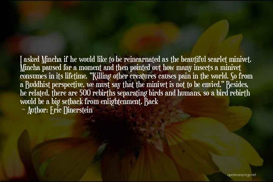 Eric Dinerstein Quotes: I Asked Mincha If He Would Like To Be Reincarnated As The Beautiful Scarlet Minivet. Mincha Paused For A Moment