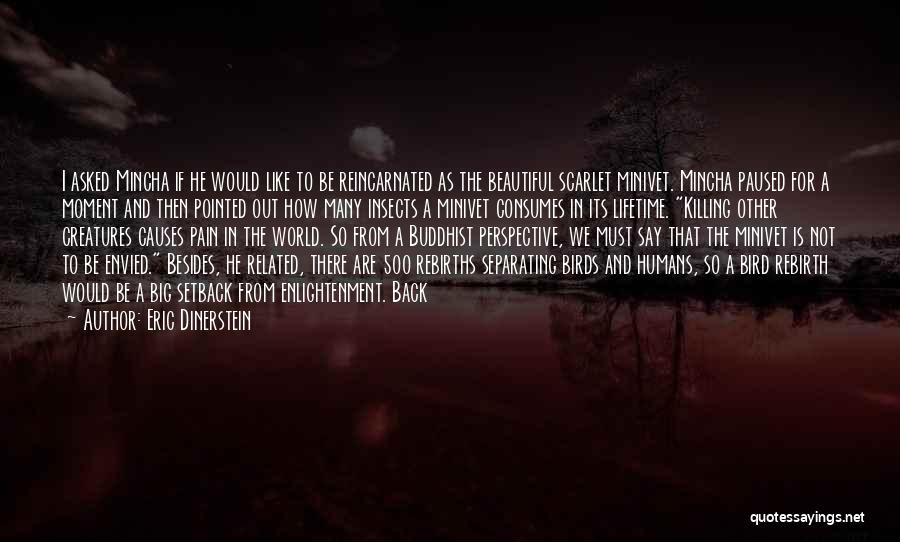 Eric Dinerstein Quotes: I Asked Mincha If He Would Like To Be Reincarnated As The Beautiful Scarlet Minivet. Mincha Paused For A Moment