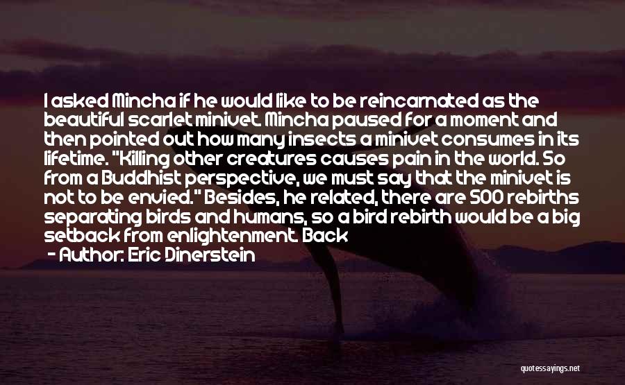 Eric Dinerstein Quotes: I Asked Mincha If He Would Like To Be Reincarnated As The Beautiful Scarlet Minivet. Mincha Paused For A Moment