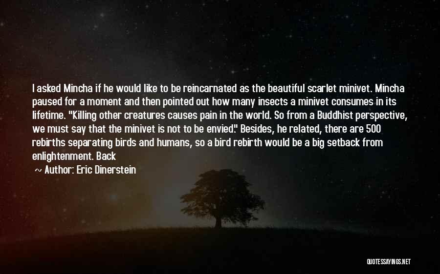 Eric Dinerstein Quotes: I Asked Mincha If He Would Like To Be Reincarnated As The Beautiful Scarlet Minivet. Mincha Paused For A Moment