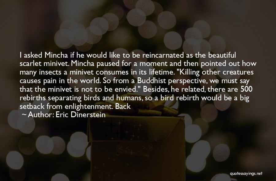 Eric Dinerstein Quotes: I Asked Mincha If He Would Like To Be Reincarnated As The Beautiful Scarlet Minivet. Mincha Paused For A Moment