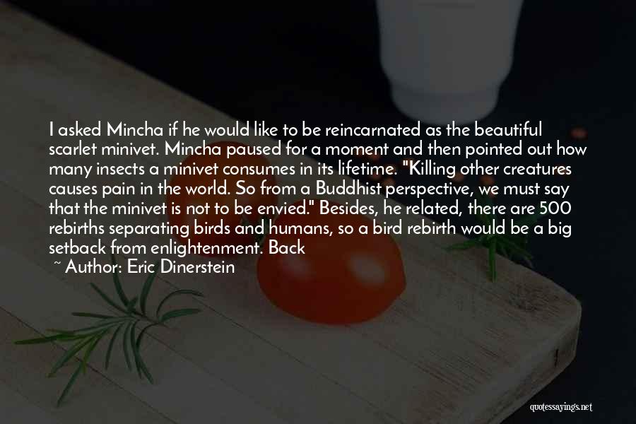 Eric Dinerstein Quotes: I Asked Mincha If He Would Like To Be Reincarnated As The Beautiful Scarlet Minivet. Mincha Paused For A Moment