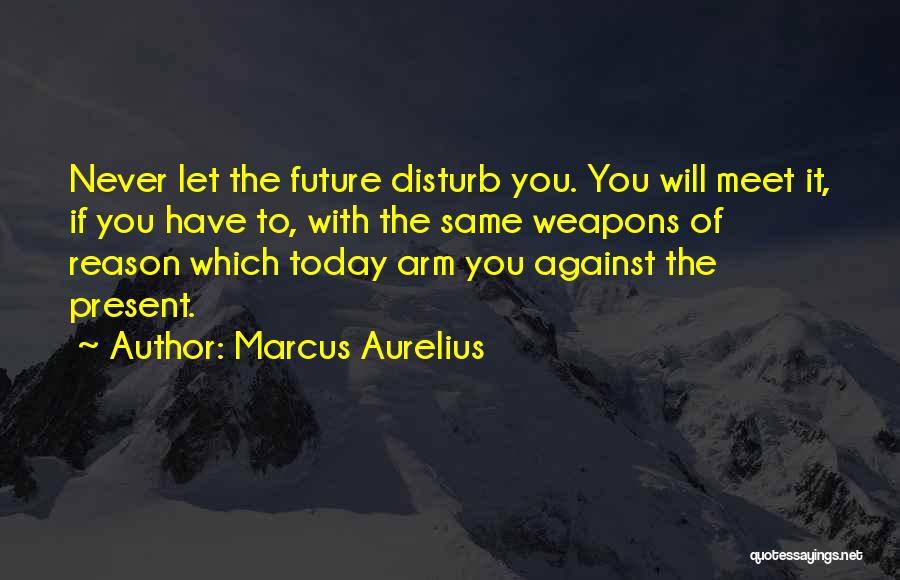 Marcus Aurelius Quotes: Never Let The Future Disturb You. You Will Meet It, If You Have To, With The Same Weapons Of Reason