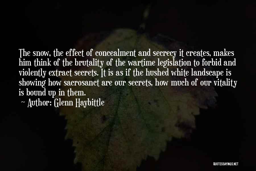 Glenn Haybittle Quotes: The Snow, The Effect Of Concealment And Secrecy It Creates, Makes Him Think Of The Brutality Of The Wartime Legislation