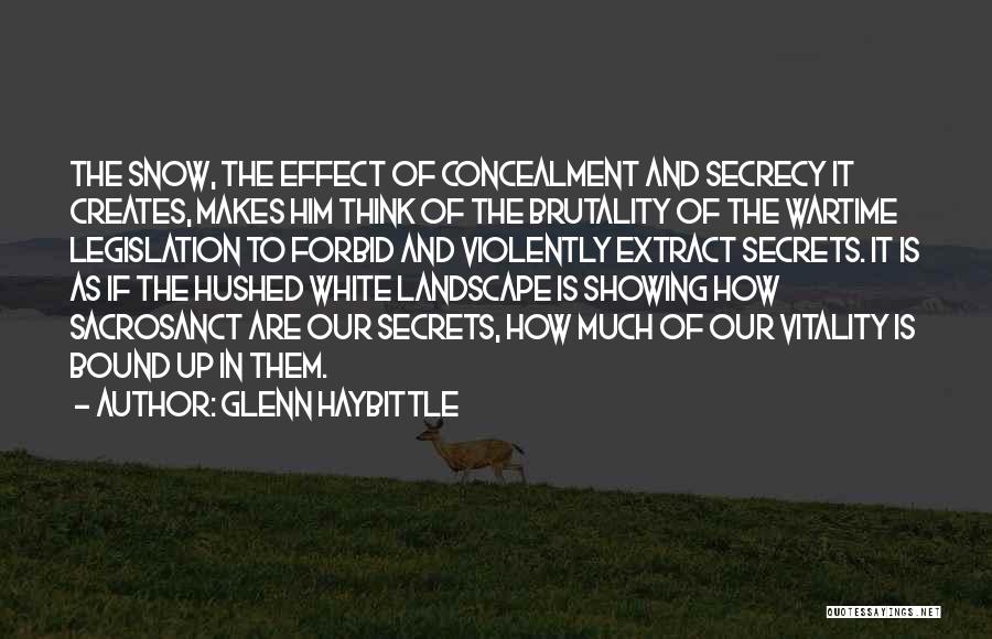 Glenn Haybittle Quotes: The Snow, The Effect Of Concealment And Secrecy It Creates, Makes Him Think Of The Brutality Of The Wartime Legislation