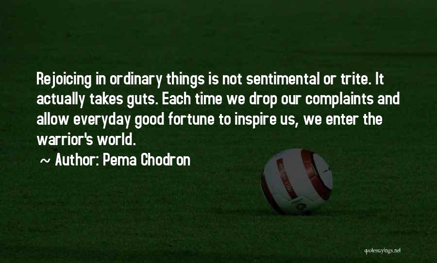 Pema Chodron Quotes: Rejoicing In Ordinary Things Is Not Sentimental Or Trite. It Actually Takes Guts. Each Time We Drop Our Complaints And