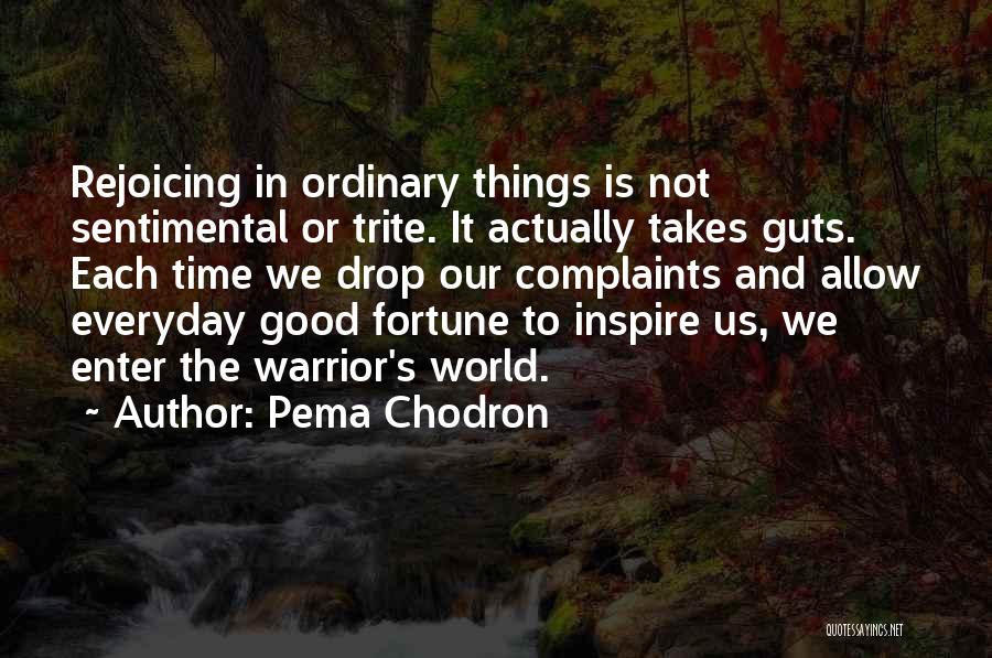 Pema Chodron Quotes: Rejoicing In Ordinary Things Is Not Sentimental Or Trite. It Actually Takes Guts. Each Time We Drop Our Complaints And