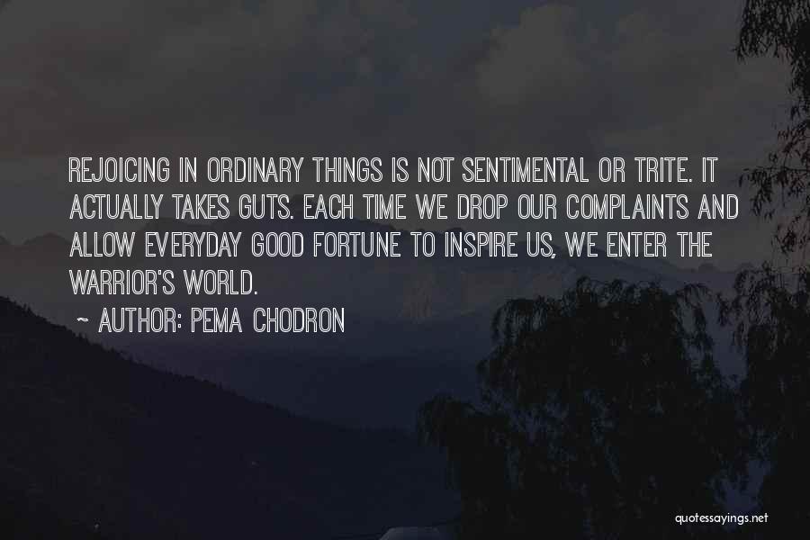 Pema Chodron Quotes: Rejoicing In Ordinary Things Is Not Sentimental Or Trite. It Actually Takes Guts. Each Time We Drop Our Complaints And