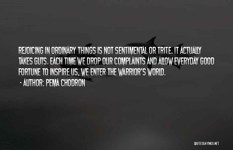 Pema Chodron Quotes: Rejoicing In Ordinary Things Is Not Sentimental Or Trite. It Actually Takes Guts. Each Time We Drop Our Complaints And