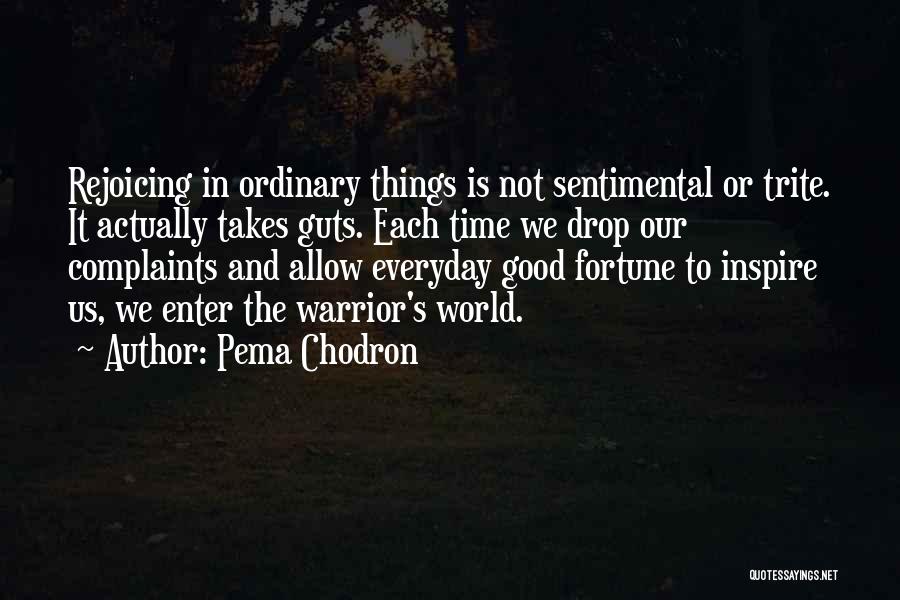 Pema Chodron Quotes: Rejoicing In Ordinary Things Is Not Sentimental Or Trite. It Actually Takes Guts. Each Time We Drop Our Complaints And