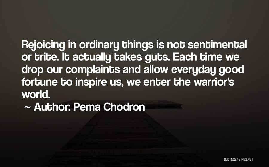 Pema Chodron Quotes: Rejoicing In Ordinary Things Is Not Sentimental Or Trite. It Actually Takes Guts. Each Time We Drop Our Complaints And