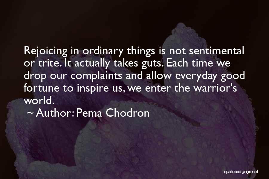 Pema Chodron Quotes: Rejoicing In Ordinary Things Is Not Sentimental Or Trite. It Actually Takes Guts. Each Time We Drop Our Complaints And