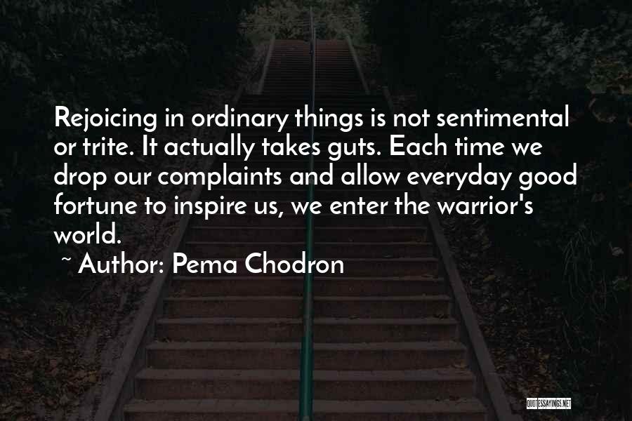 Pema Chodron Quotes: Rejoicing In Ordinary Things Is Not Sentimental Or Trite. It Actually Takes Guts. Each Time We Drop Our Complaints And