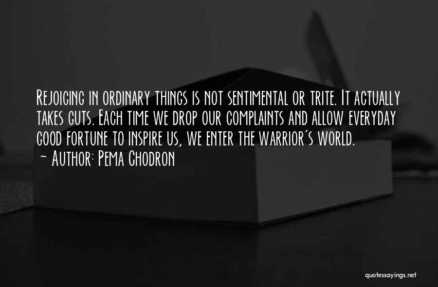 Pema Chodron Quotes: Rejoicing In Ordinary Things Is Not Sentimental Or Trite. It Actually Takes Guts. Each Time We Drop Our Complaints And