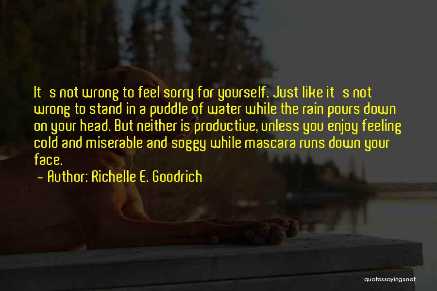 Richelle E. Goodrich Quotes: It's Not Wrong To Feel Sorry For Yourself. Just Like It's Not Wrong To Stand In A Puddle Of Water