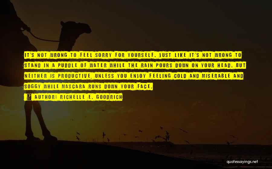 Richelle E. Goodrich Quotes: It's Not Wrong To Feel Sorry For Yourself. Just Like It's Not Wrong To Stand In A Puddle Of Water