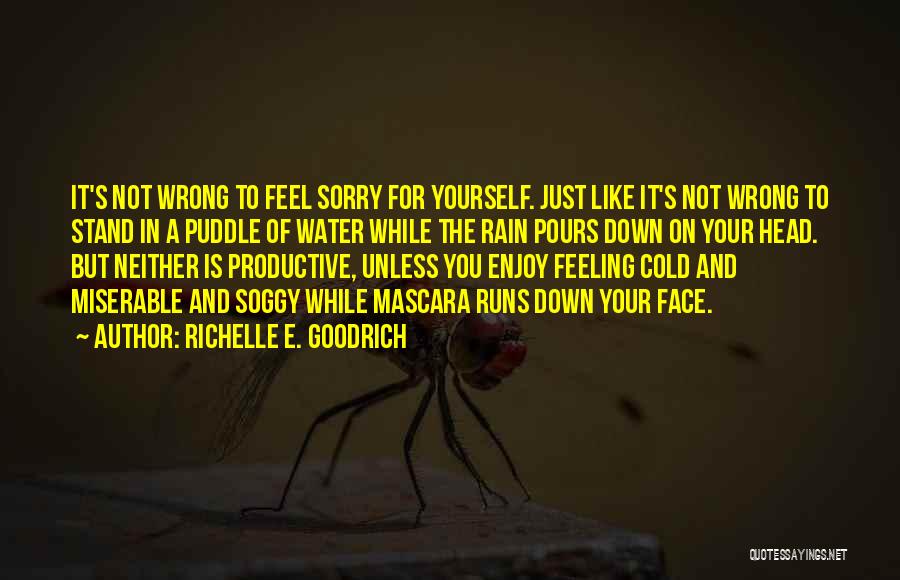 Richelle E. Goodrich Quotes: It's Not Wrong To Feel Sorry For Yourself. Just Like It's Not Wrong To Stand In A Puddle Of Water