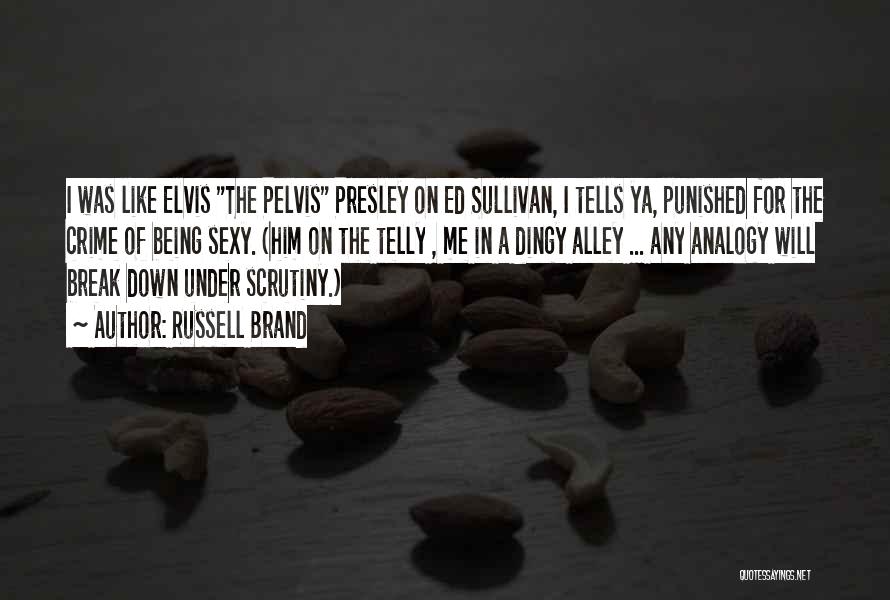 Russell Brand Quotes: I Was Like Elvis The Pelvis Presley On Ed Sullivan, I Tells Ya, Punished For The Crime Of Being Sexy.