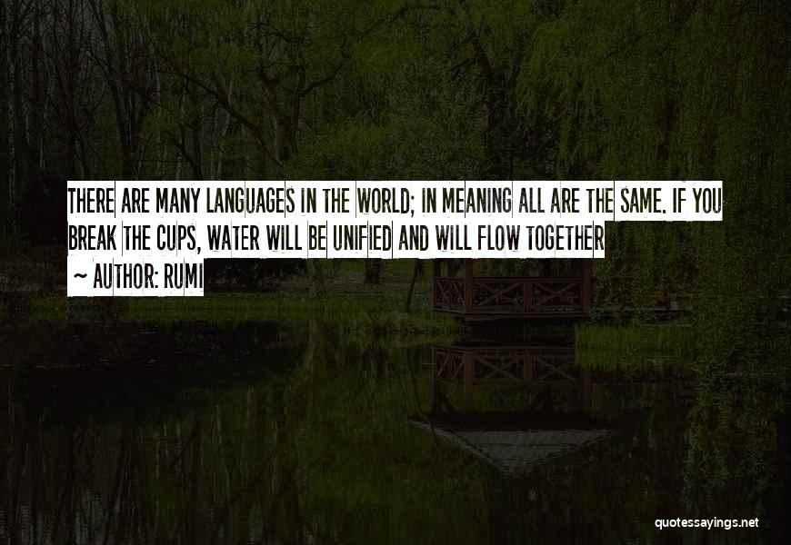 Rumi Quotes: There Are Many Languages In The World; In Meaning All Are The Same. If You Break The Cups, Water Will